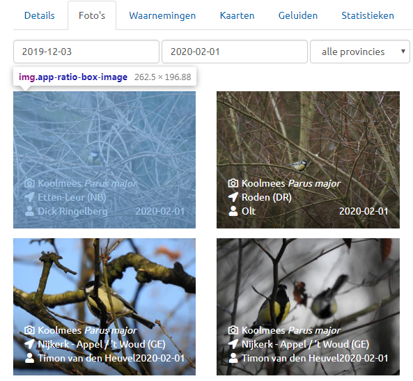 Waarneming Gallery